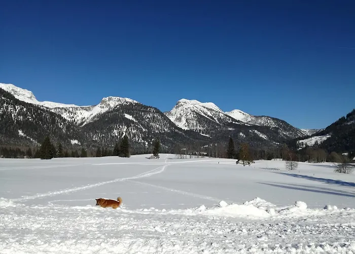 Stoffis Huetten Holiday home *