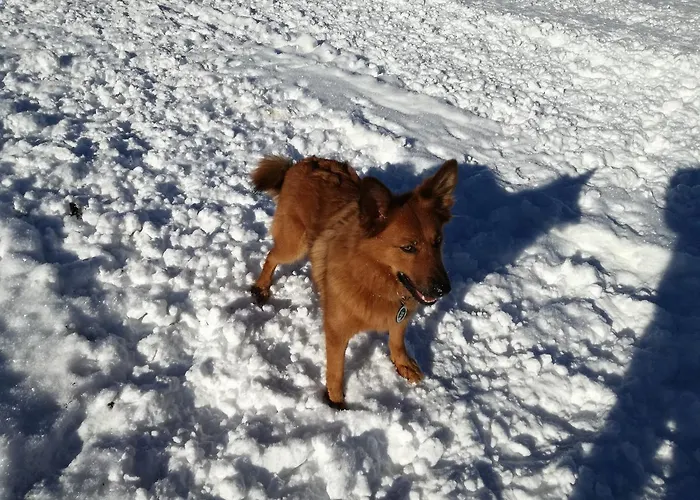 Holiday home Stoffis Huetten *