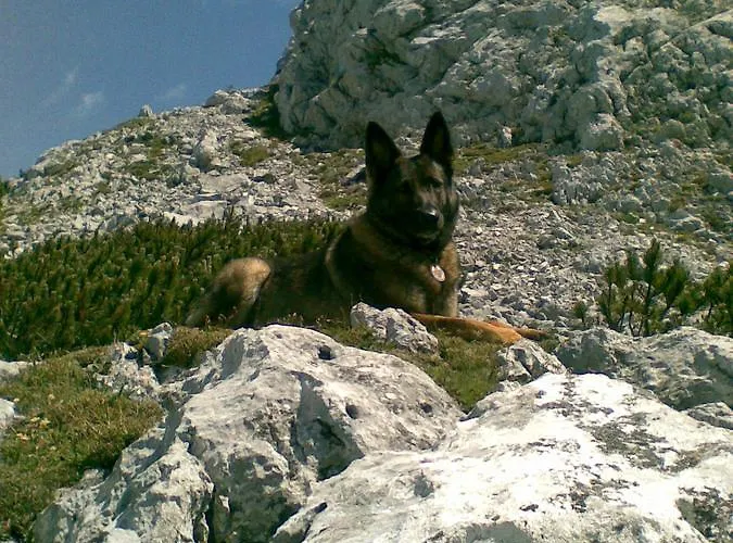 Stoffis Huetten Holiday home *