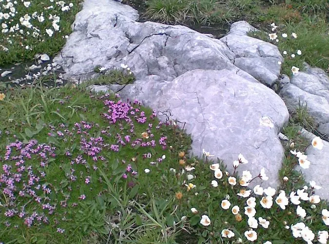 Holiday home Stoffis Huetten Tauplitz